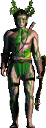 Elven Warrior as it appears in the game